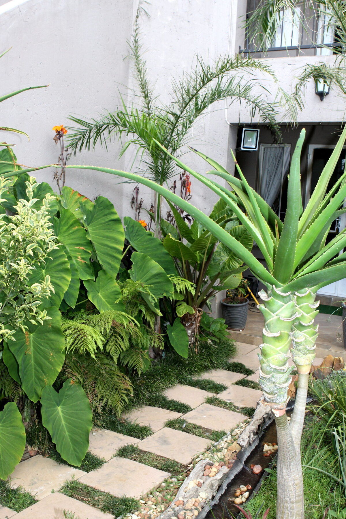 Airport Lodge Guest House كمبتون بارك المظهر الخارجي الصورة
